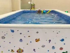 -阳光游泳培训(北苑店)