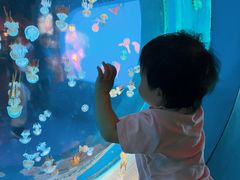 -太平洋海底世界