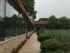 -洪湖家庭农场·团建·露营·会议
