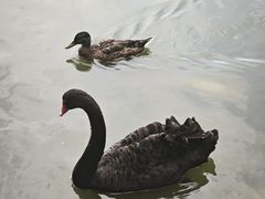 -中国农业博物馆