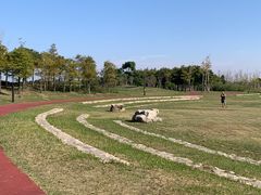 -春花秋色城市公园