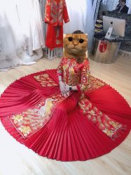 -韩国天使嫁衣婚纱礼服馆(上海旗舰店)