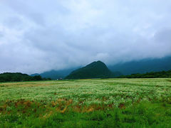 -大九湖