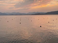 -九府羊·鲜羊火锅·烤串(新华路店)