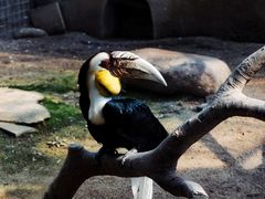 -杭州野生动物世界