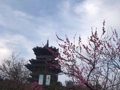 -杭州半山国家森林公园