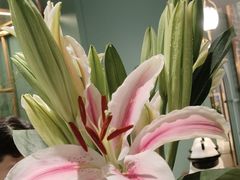 -南堂馆·新川菜(春熙路店)