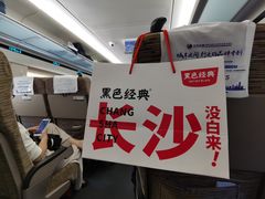 -黑色经典臭豆腐·湖南特产(步行街店)