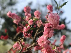 -元大都城垣遗址公园