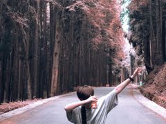 -山王坪喀斯特国家生态公园