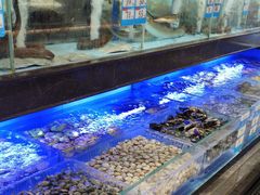-阿伟海鲜楼·福建菜(延寿店)