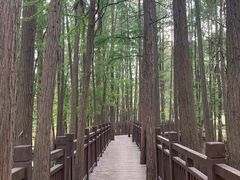 -东湖落雁景区