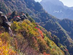 -秦岭风景区