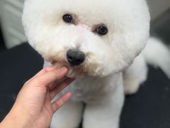 -小尾巴宠物店(万科·金域华庭店)