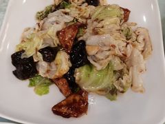 白菜木耳爆豆腐-六和聚传统烤鸭.天津菜(和平店)
