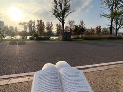 -汉长安城未央宫国家考古遗址公园