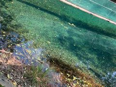 -石燕湖生态旅游景区