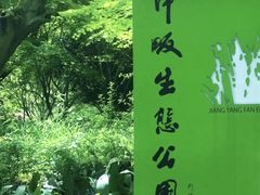 -西湖风景区-江洋畈生态公园