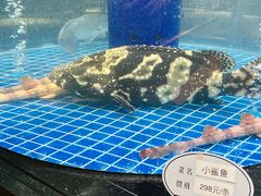 景观位-海龙馆海鲜餐厅(西湖文化广场店)
