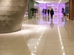 -证大喜玛拉雅中心