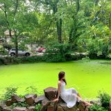 仙女拍照姿势合集