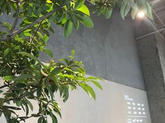 -喜茶(珠海华发商都店)
