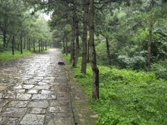-藏山旅游风景区