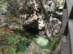 -祁门牯牛降观音堂风景区