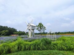 -北京东方普罗旺斯薰衣草庄园