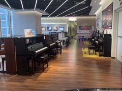 -知音艺术教育培训·钢琴培训·音乐培训(河西金鹰世界校区)