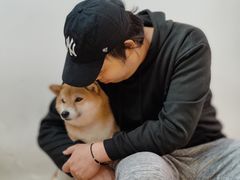 -是阿柴呀！柴犬咖啡·爱喵喵猫咖