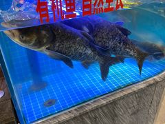 -沽上民肴·海鲜锅贴·天津菜(福州道鸿正家园店)