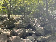 -白云源风景区