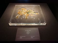 -青海藏文化博物院