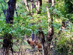 -长春市南湖公园