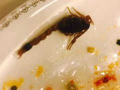 -金河半岛园林酒家(金融城店)