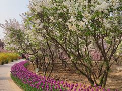 -石家庄市植物园