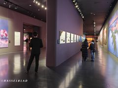 -罗红摄影艺术馆