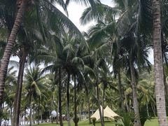 -三亚太阳湾柏悦酒店