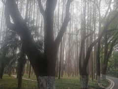 -采石矶景区