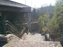 -白水寺森林公园