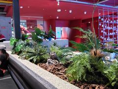 -肥肥虾庄·金牌油焖大虾(杨园滨江时代walk店)