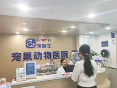 -宠颐生宠物医院·心肾内科·猫专科诊疗中心宠巢店