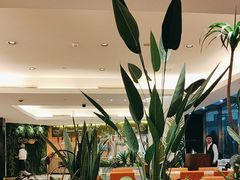 -亮马河饭店翠雅咖啡厅