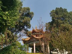 -昆明动物园