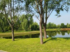 -东郊湿地公园
