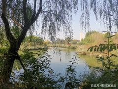 -塘沽森林公园