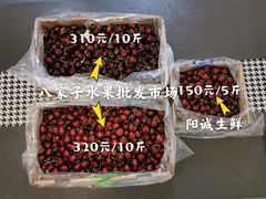 -沈阳市八家子水果批发市场