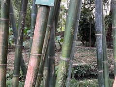 -成都杜甫草堂博物馆