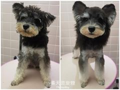 -FAELING PETS美天灵宠物(富力广场店)